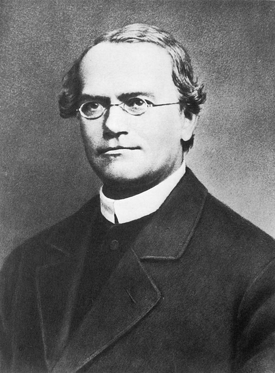 Mendel, el padre de la genética moderna, era un fraile agustino.