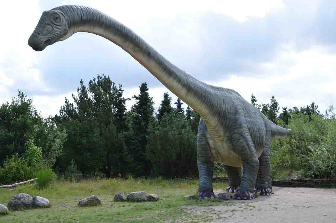 Dos nuevas especies de dinosaurios se descubrieron en América del Sur