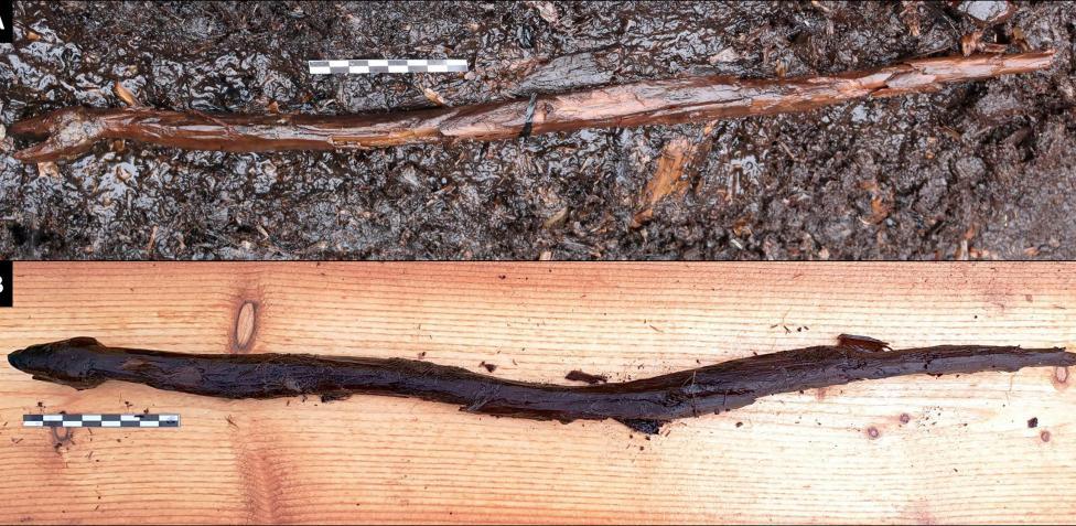 El bastón de un chamán de 4 mil años ha sido hallado frente a un lago.