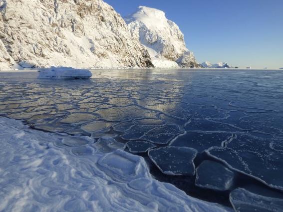 El récord de temperatura máxima en la Antártida es un aviso de los cambios por venir.