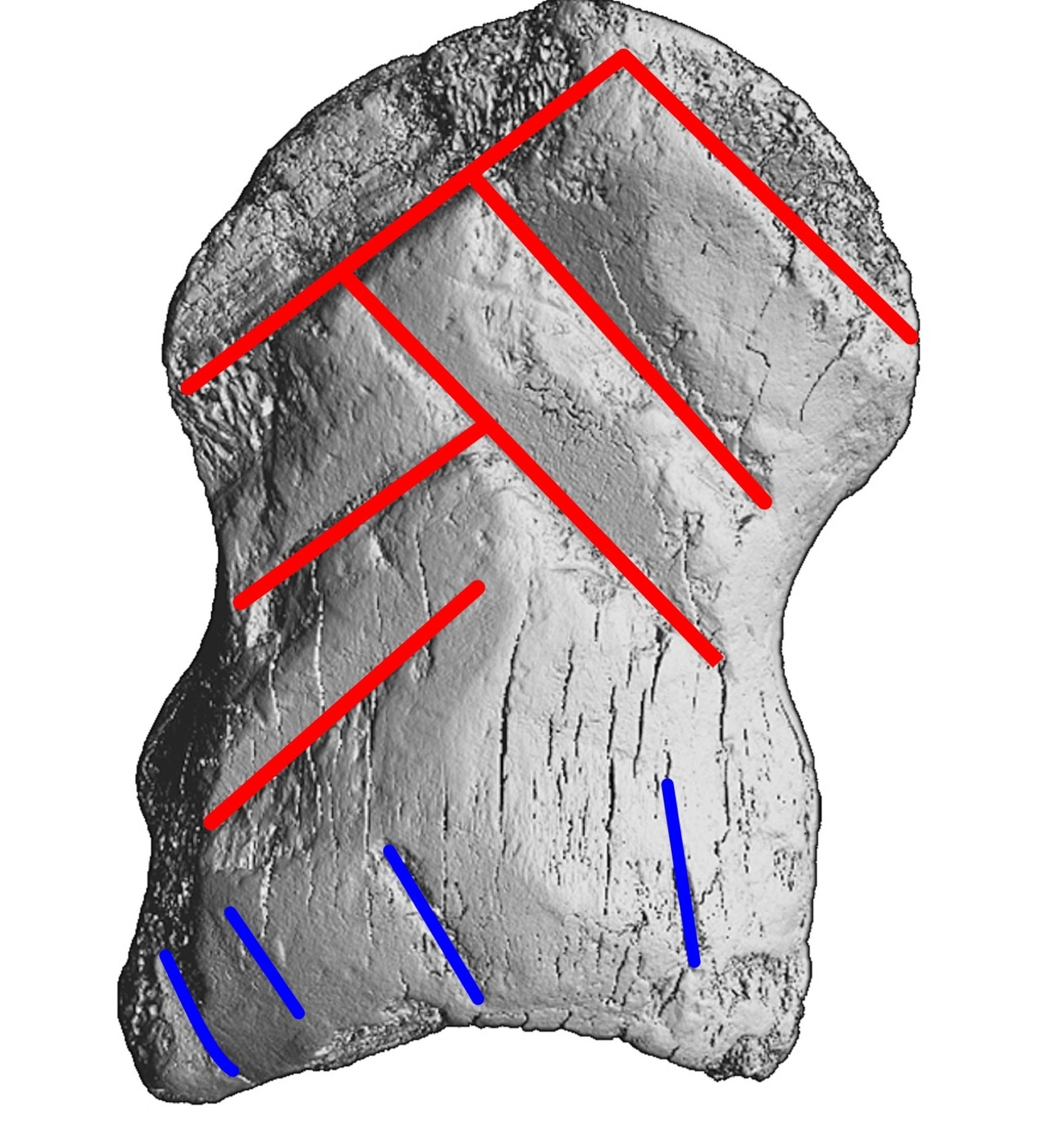 Este patrón geométrico probablemente fue entendido como un mensaje por los neandertales.