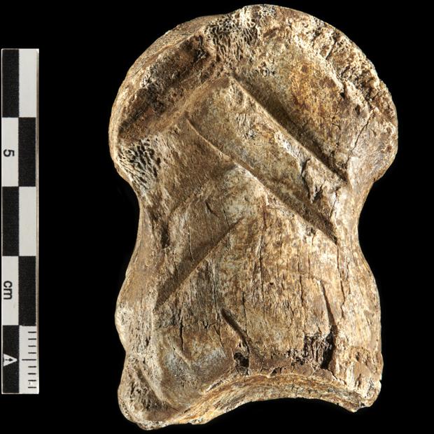 Los neandertales también tallaban símbolos, como prueba este majestuoso hueso de ciervo gigante.