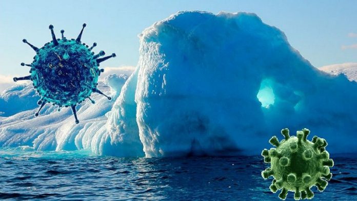 Los virus de hace 15 mil años que aparecen en glaciares traen el pasado de vuelta.