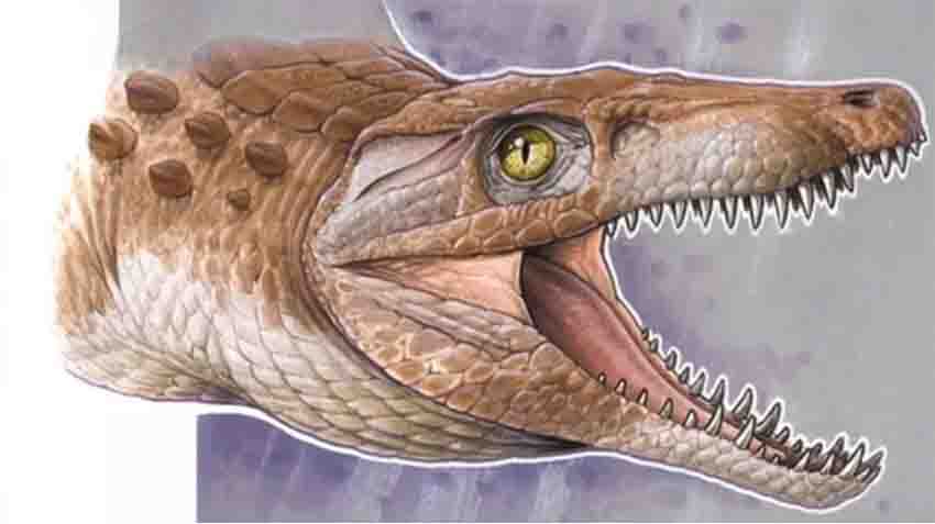 boceto del réptil prehistórico