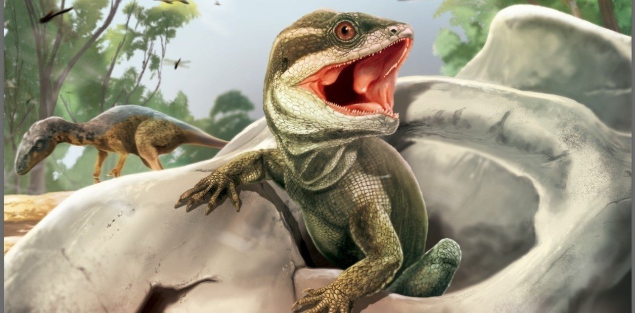 El gran antepasado de los reptiles fue descubierto en Argentina.