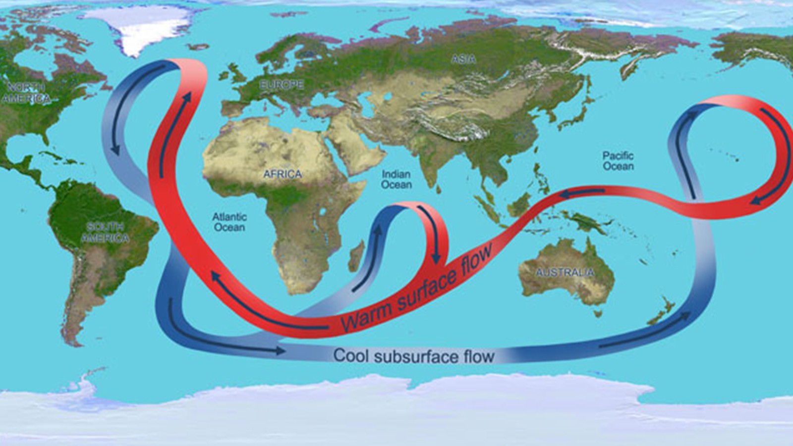 Las corrientes oceánicas distribuyen también el calor a través del mundo.