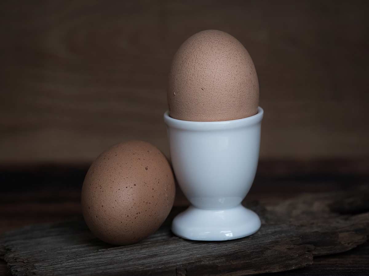 La ecuación universal del huevo de aves ha sido descrita científicamente.