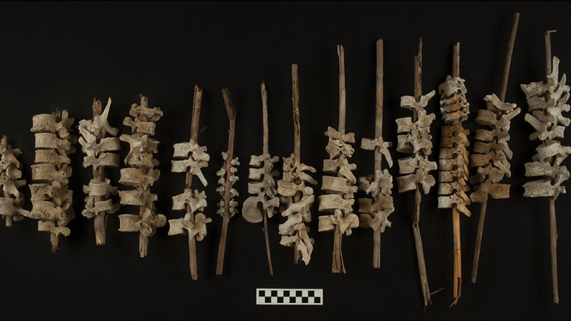 Las vértebras ensartadas en postes fueron halladas en el sur peruano.