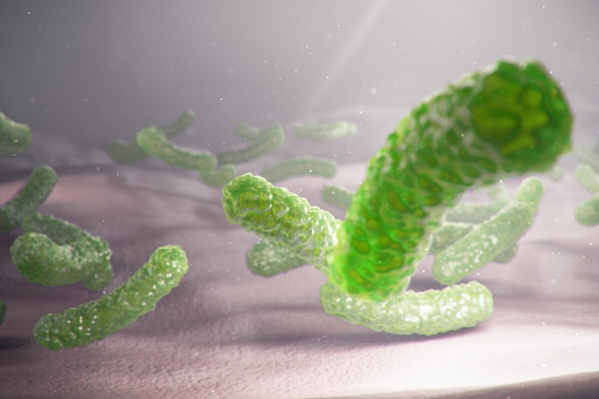 Esta bacteria cambia muchos de los conceptos aceptados por la ciencia.