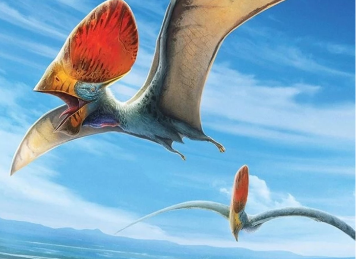 Descubre la sorprendente habilidad de los pterosaurios.