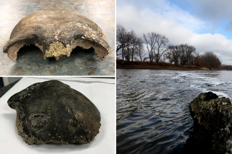 Un cráneo de 8000 años en el río Minesota sorprendió a los forenses.