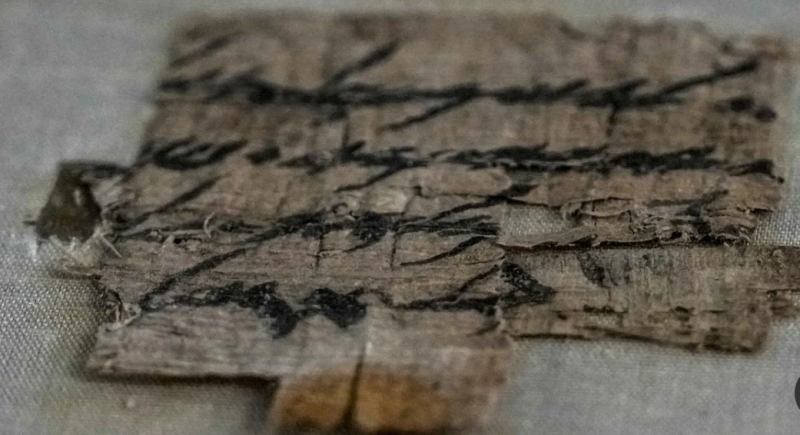 El raro papiro encontrado por casualidad tiene 2700 años.