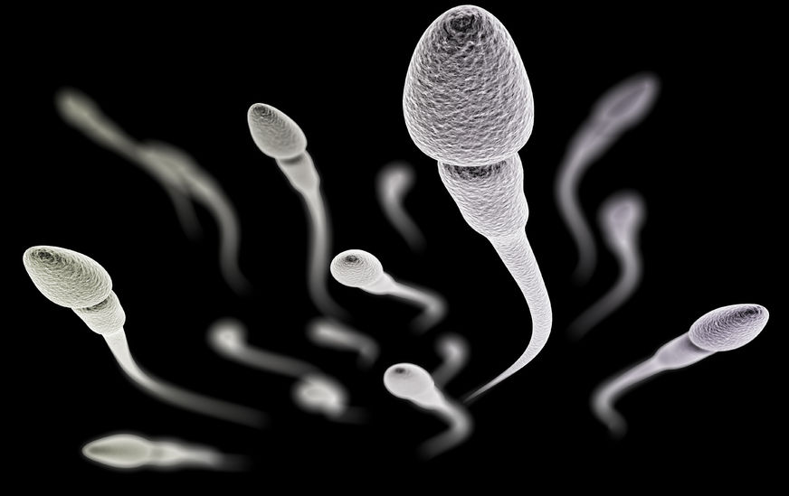Hay cada vez menos espermatozoides en los conteos a nivel mundial.