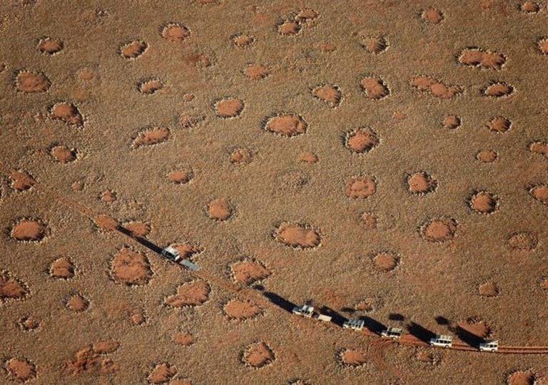 Los círculos de hadas de Namibia eran hasta hoy unm misterio ecológico.