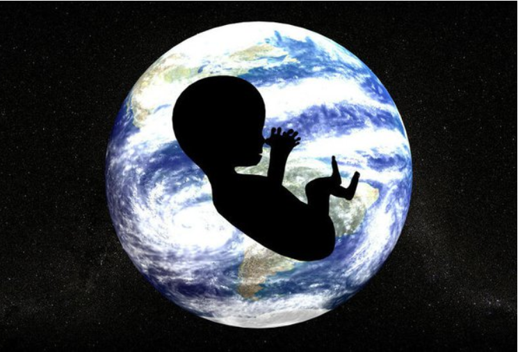 Los vuelos espaciales afectan el embarazo. ¿Por qué?