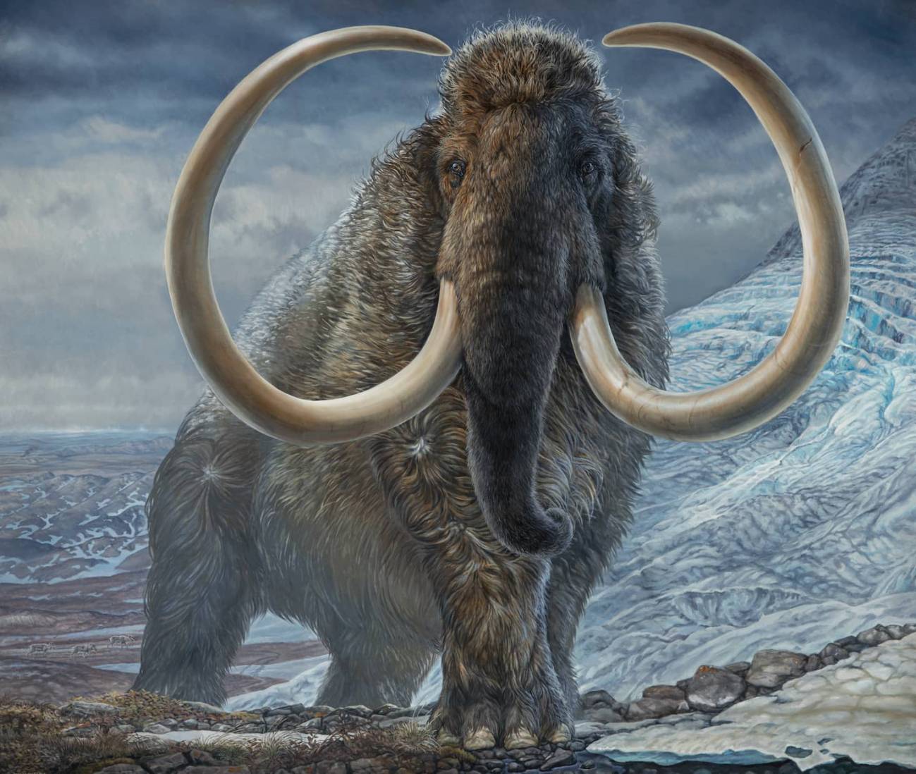 El mamut es otro animal que se quiere revivir.