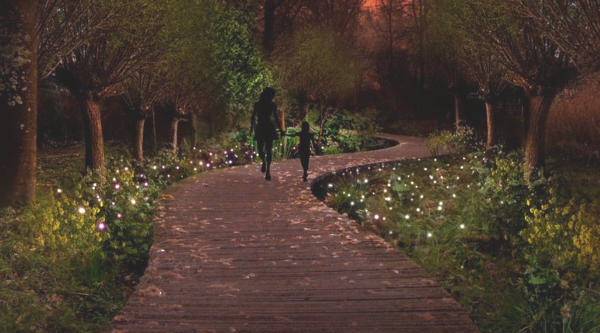 El parque iluminado por las plantas está en Países Bajos.
