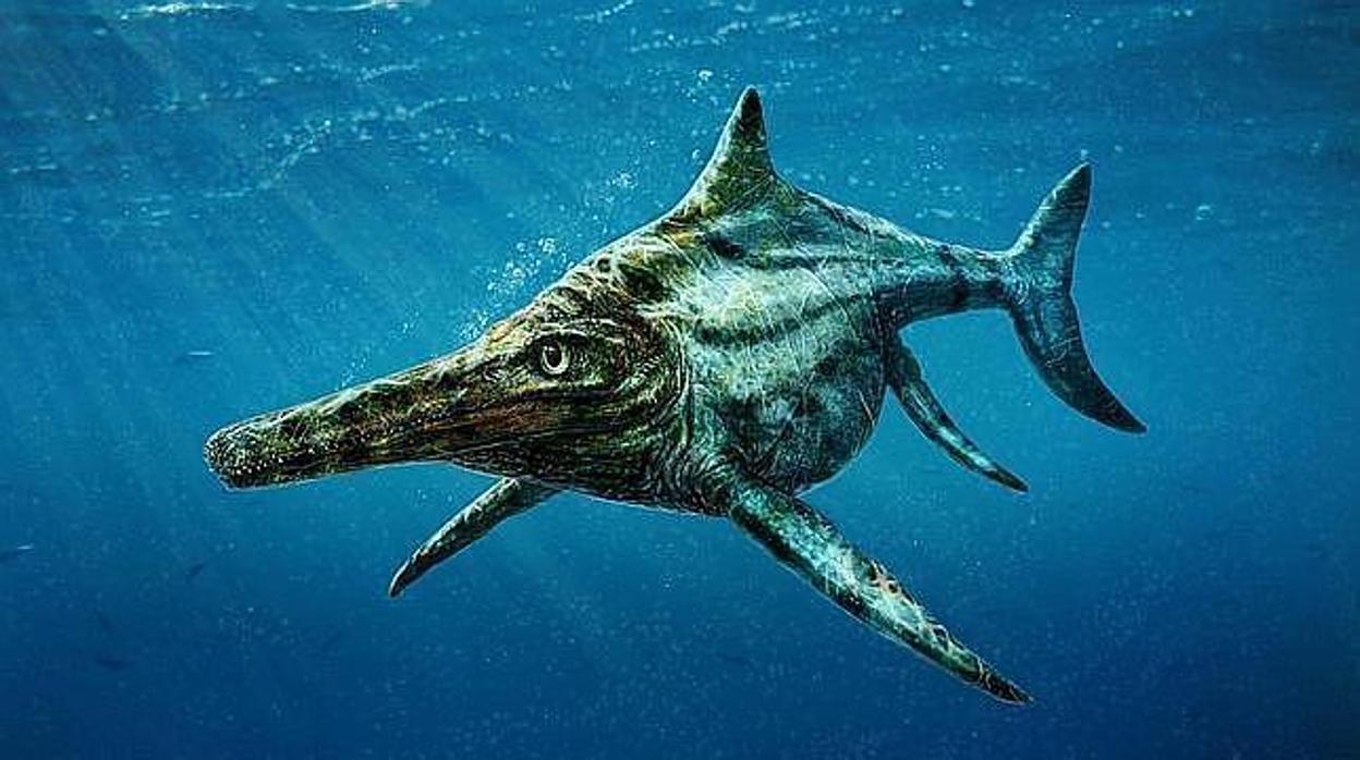 Los fósiles de los peces lagarto hallados son de antes de la Gran Mortandad.
