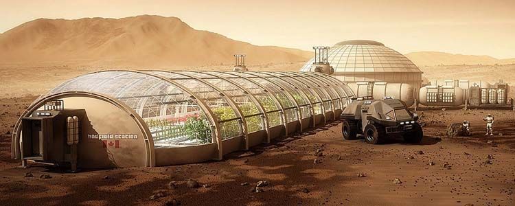 El arroz que puede cultivarse en Marte resolvería parte del problema de la alimentación allá.
