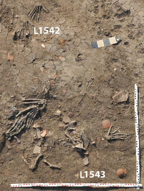 Se hallaron asimismo otros restos óseos.