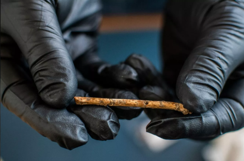 Flautas milenarias con huesos de aves fueron halladas en Israel.