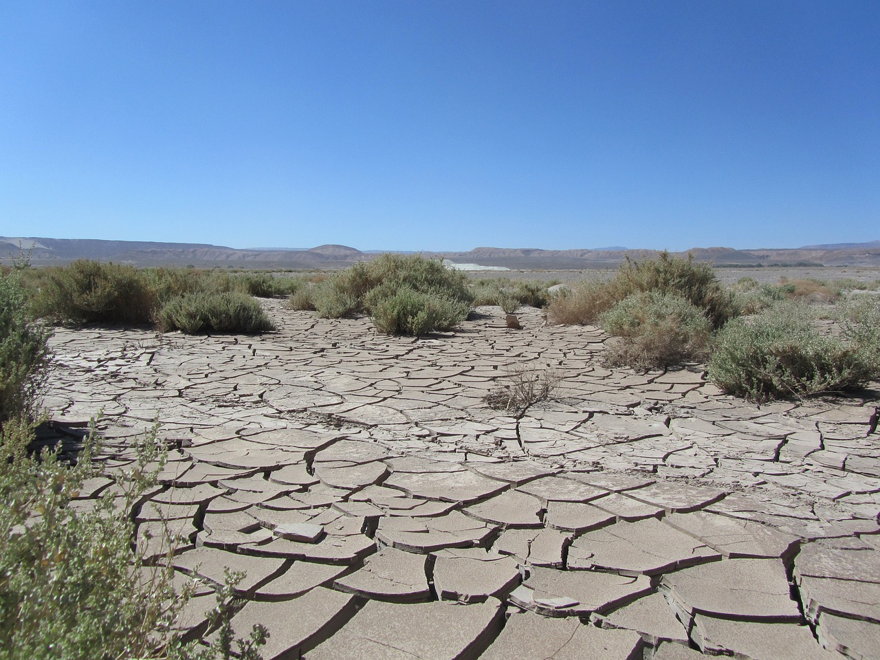 Aridez del desierto de Atacama