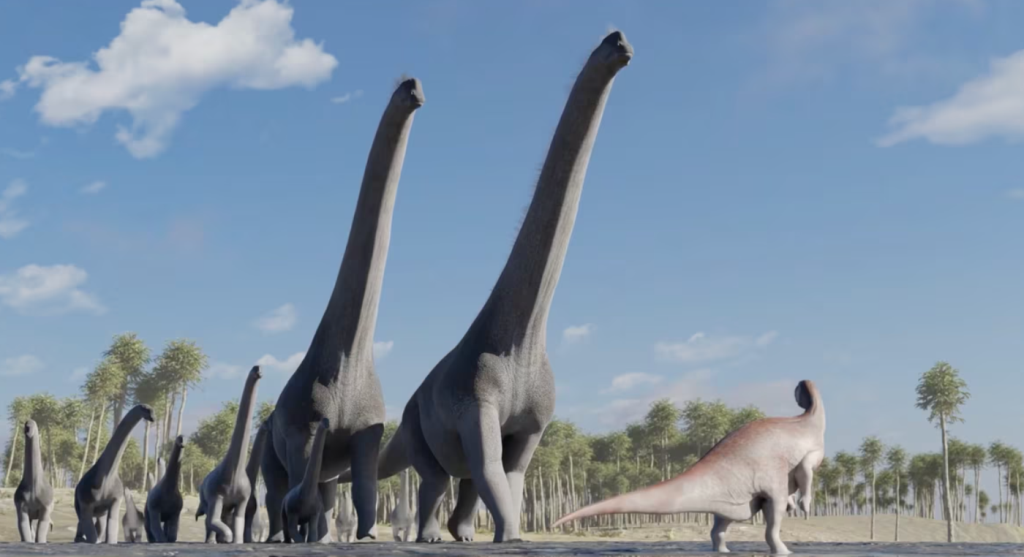 Esta es una representación de la ruta de la guardería de dinosaurios .