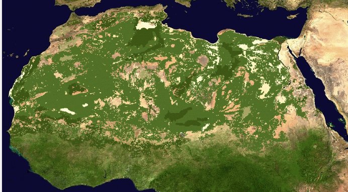 El Sahara era húmedo y verde hace miles de años.