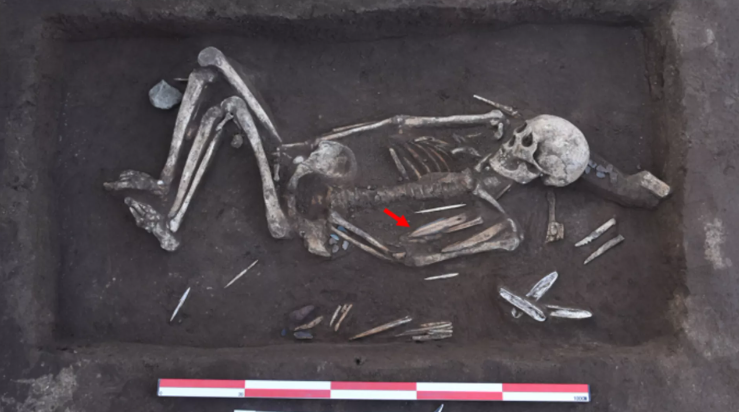 En total había 45 esqueletos sin cabeza, además de otras tumbas.