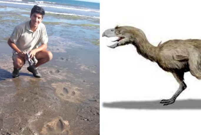 Este animal vivió hace 8 millones de años.