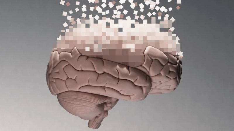 El cerebro se reconfigura a los 40. ¿Qué cambia?