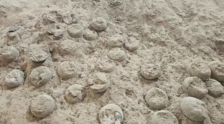 Tres nuevos huevos fósiles de dinosaurio aparecieron en un yacimiento en China.