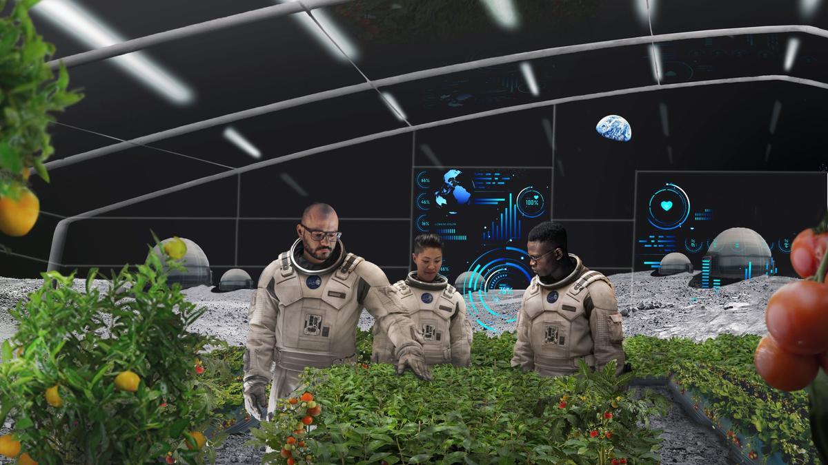 El próximo proyecto de la NASA: llevarán plantas a la Luna.