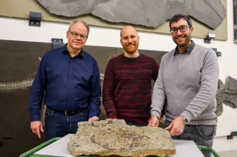 La revisión del fósil permitió nuevos hallazgos.
