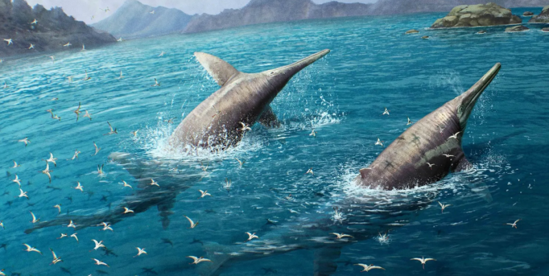 El monstruo marino de los dinosaurios medía más de 24 metros.