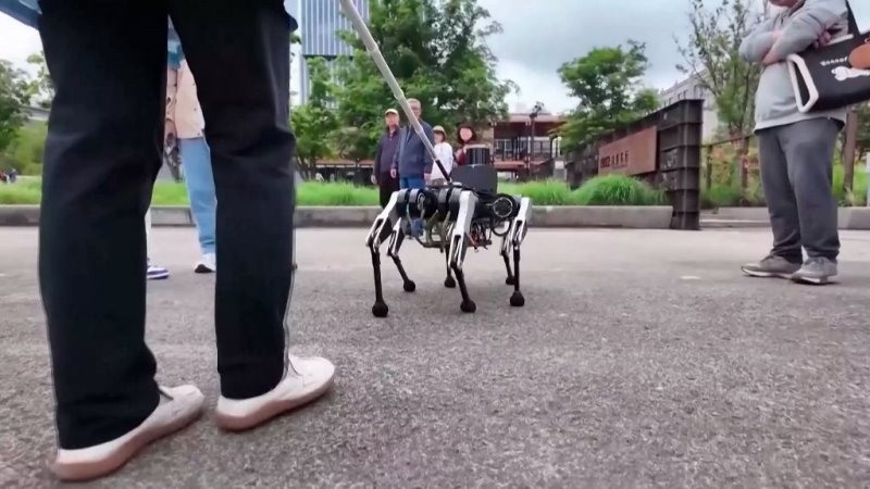 El perro robot que hace de lazarillo desarrollado en China trae importantes mejoras.