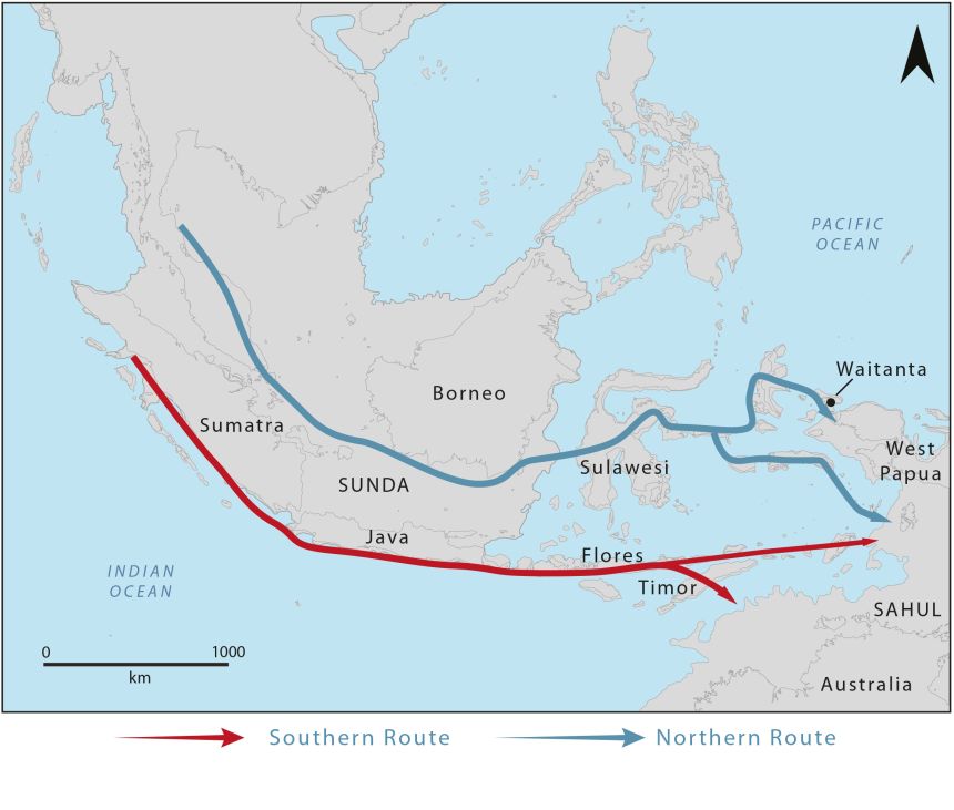 Los primeros navegantes del Pacífico vivieron hace 55.000 años.