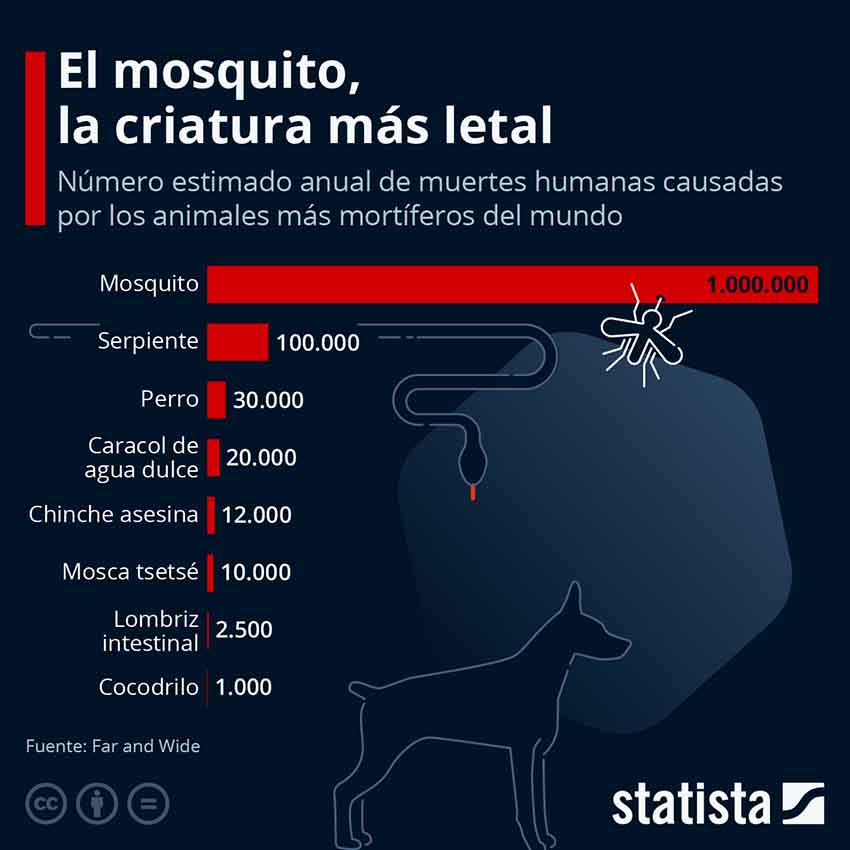 El mosquito es la criatura más letal