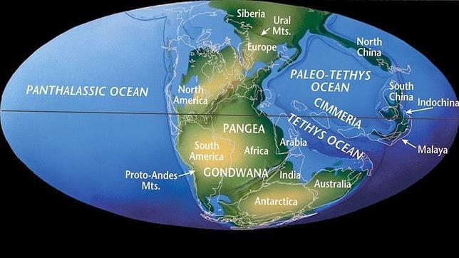 Esto habría sucedido durante la existencia del supercontinente Pangea.