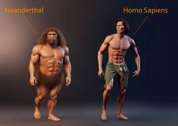 Eventualmente los humanos modernos reemplazaron a los neandertales.