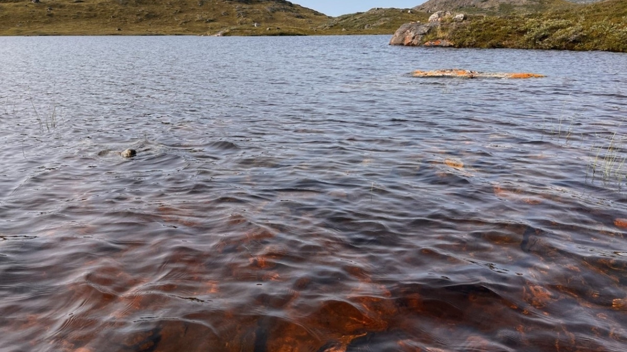 Los lagos de Groenlandia se vuelven marrones.