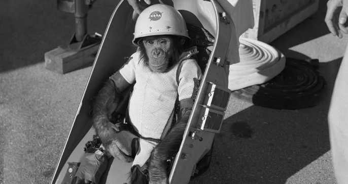 El primer primate en el espacio se llamaba Ham.