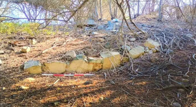 Los bosques y pastos impedían su hallazgo.