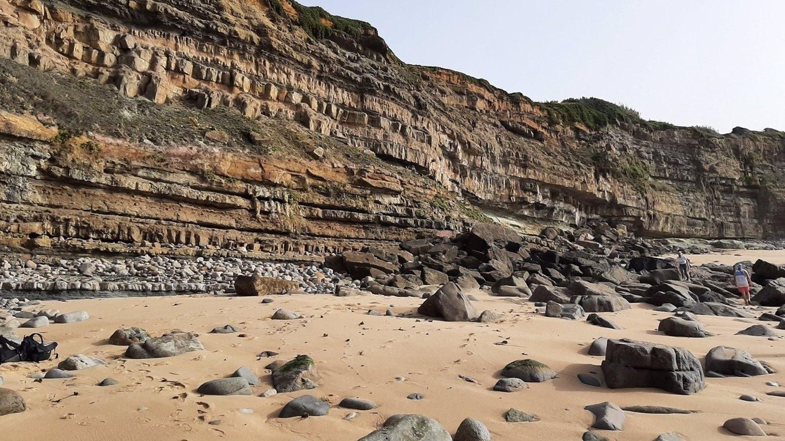 El polen de 123 millones de años apareció en Portugal.