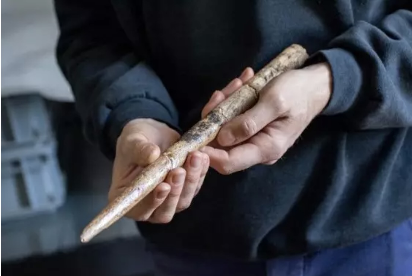Así eran las herramientas de hueso de ballena milenaria.