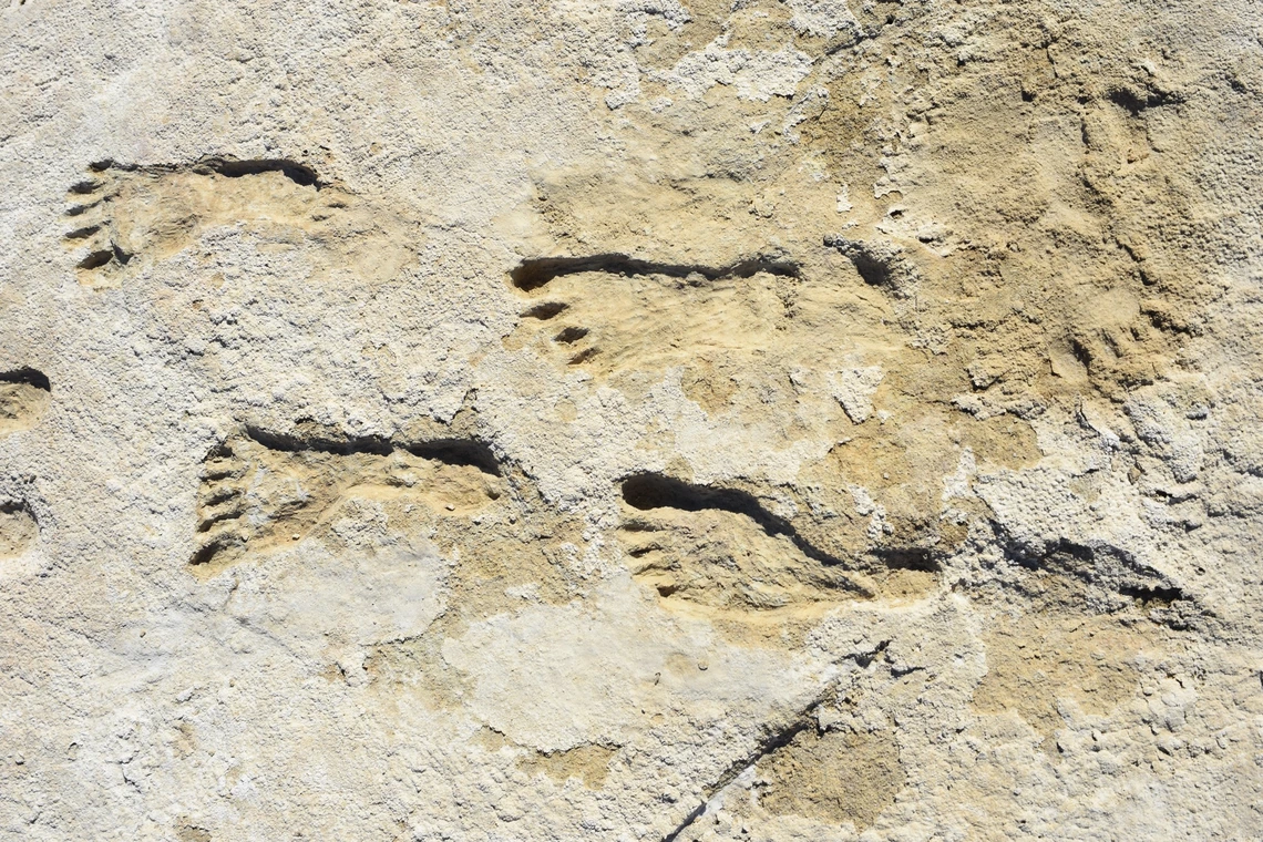 Aparecieron huellas de 21000 años en América.
