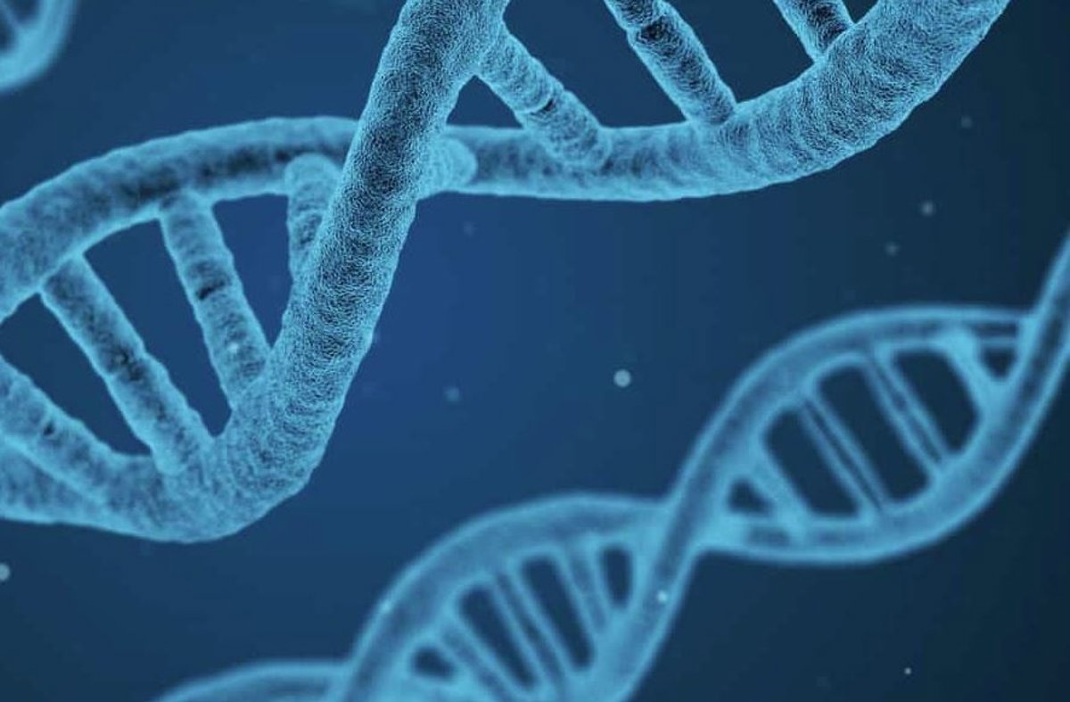 El peligro del ADN artificial es alto,pero tendría también muchos beneficios.