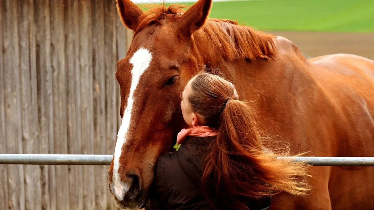 Hay más de 60 millones de caballos en el mundo.