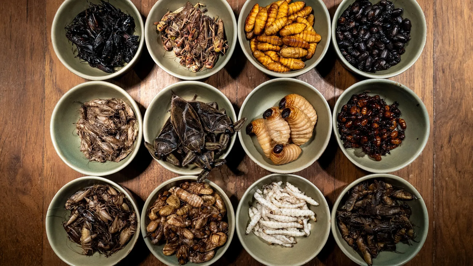 La dieta de insectos de Tailandia es un referente para el mundo.