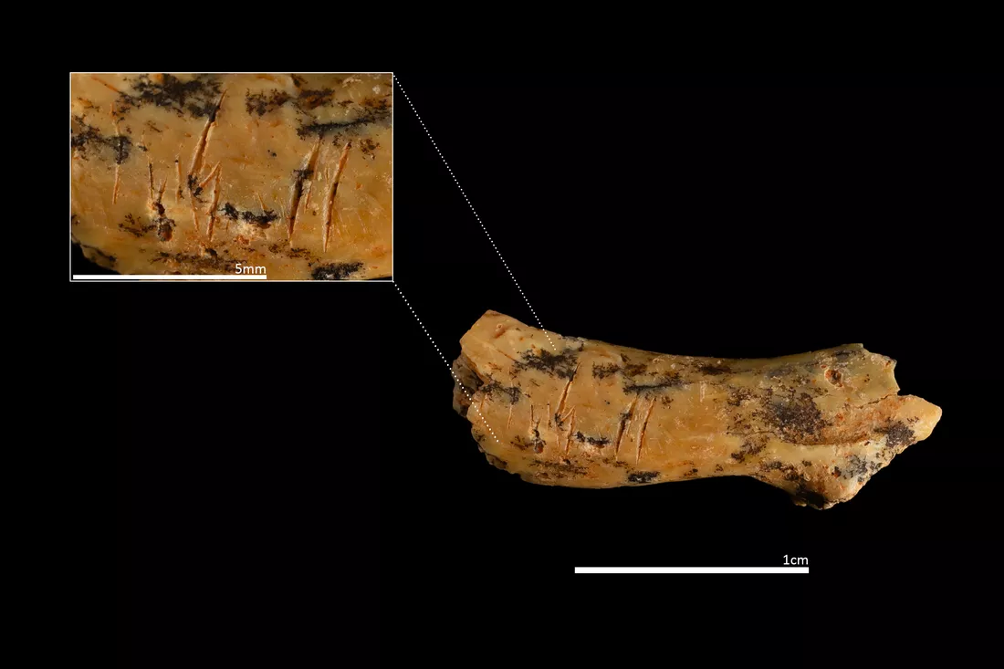 La prueba del canibalismo en Atapuerca la dieron los restos de un niño decapitado.